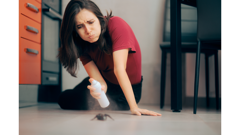 Woman Spraying with Insecticide Over an Ant on the Kitchen Floor