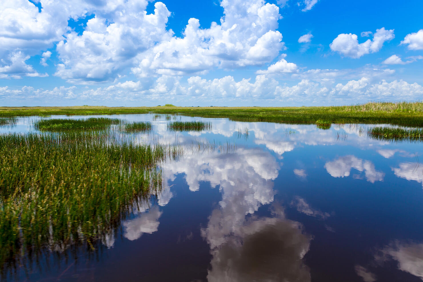 Everglades natural landscape