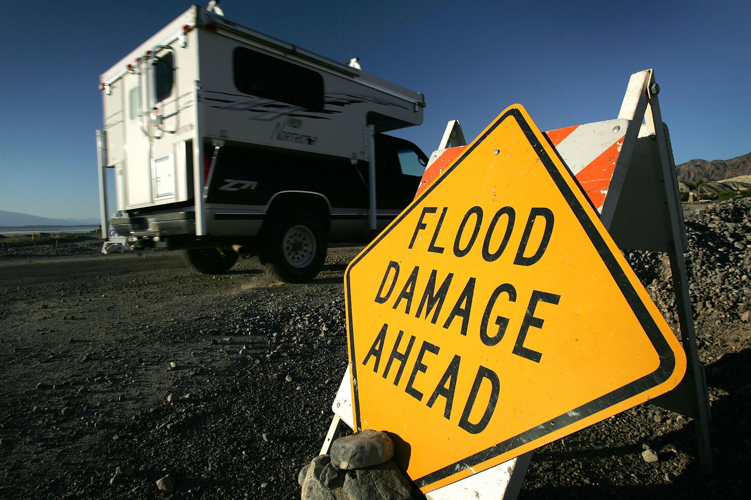 Record Rains Bring Rare Wildflowers To Death Valley