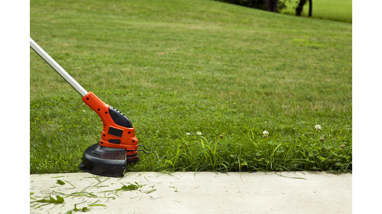 Trimming The Grass