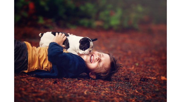 Laughing little boy with french bulldog puppy