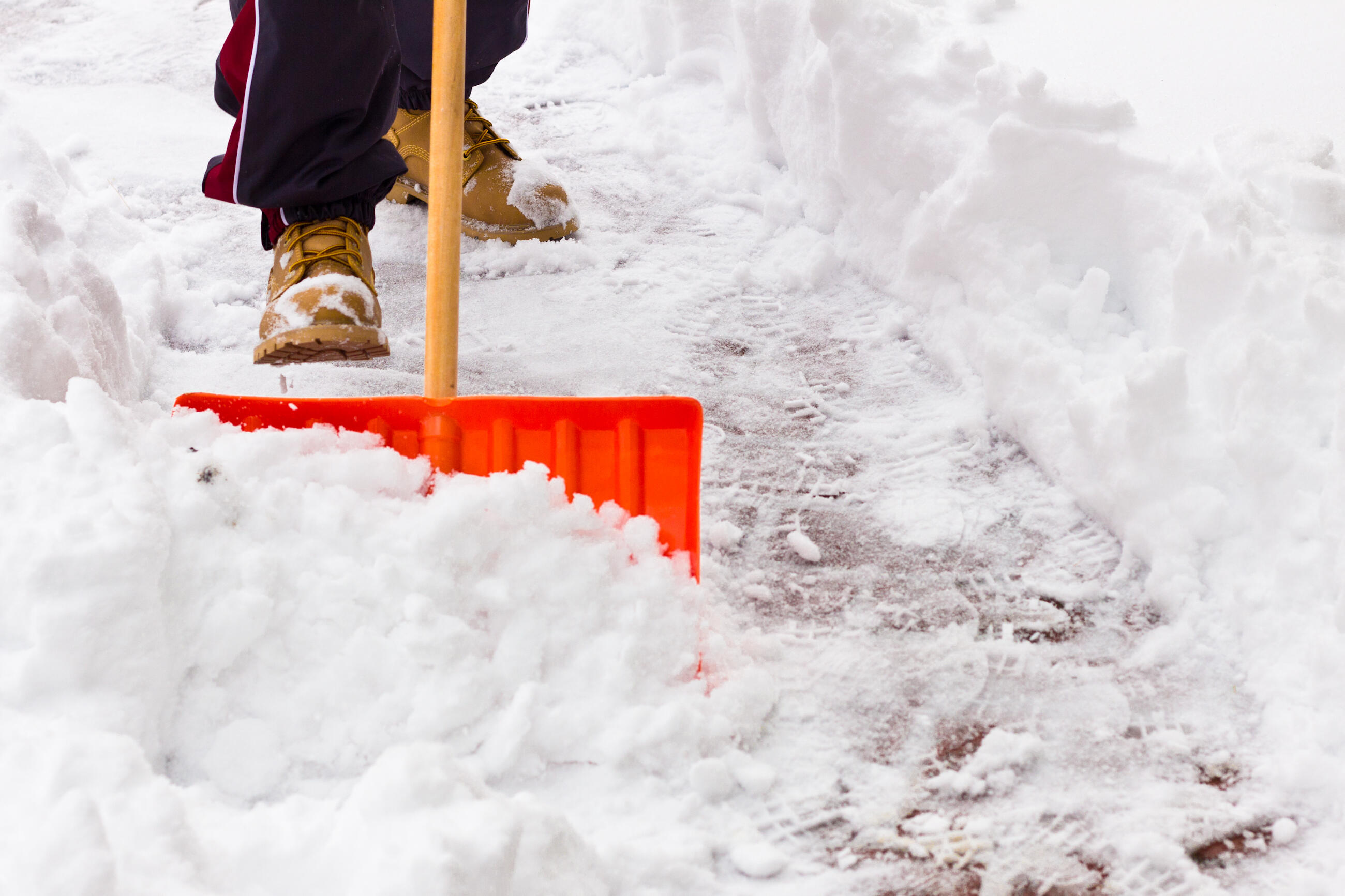 Farmers' Almanac declares parts of US 'hibernation zone' with predicted  'glacial, snow-filled' winter