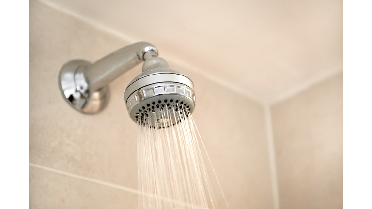 Landscape bathroom shower