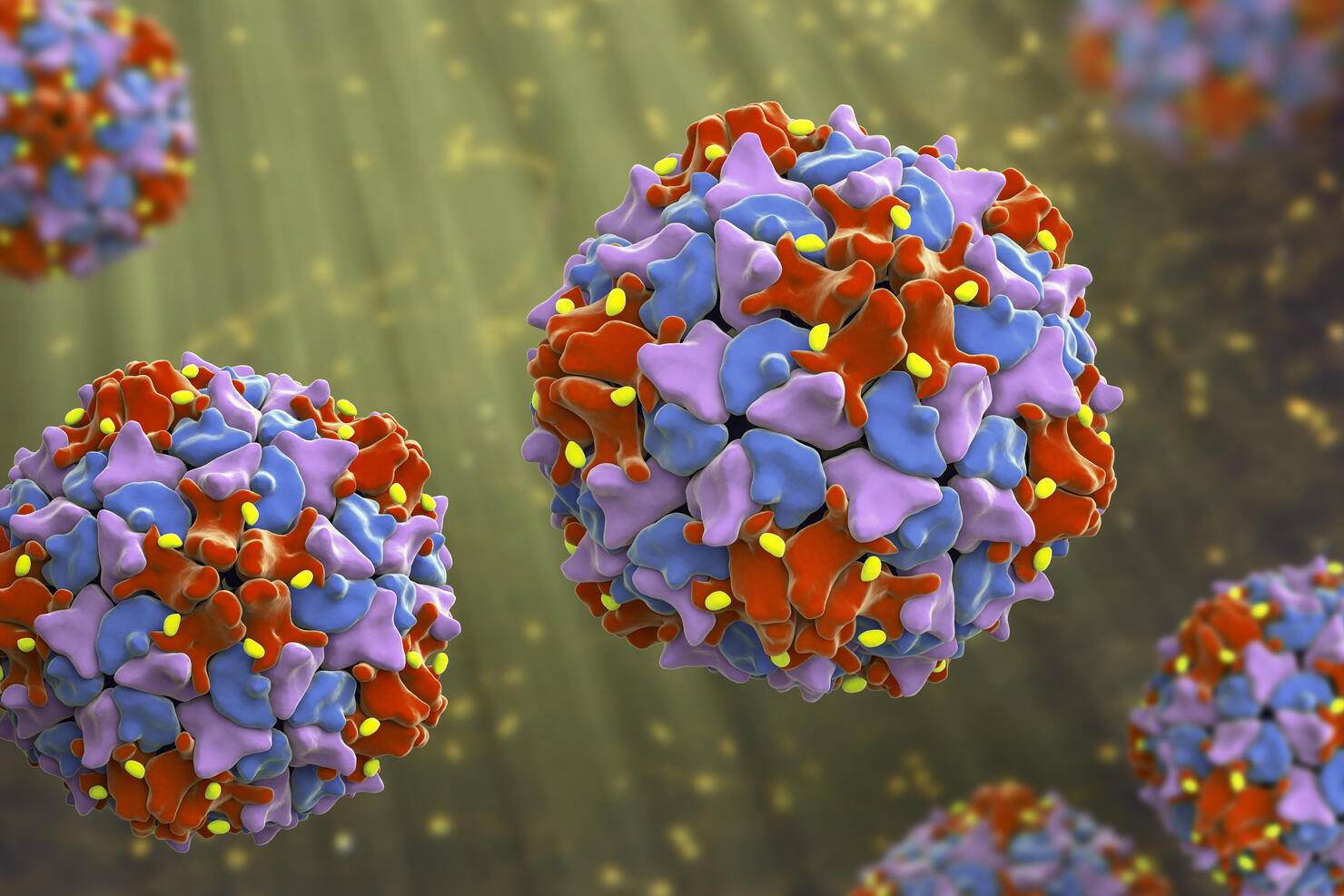 Poliovirus, an RNA virus from Picornaviridae family that causes polio disease