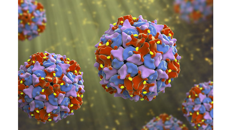 Poliovirus, an RNA virus from Picornaviridae family that causes polio disease