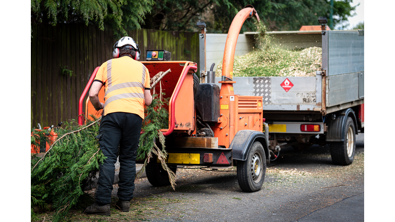 Male Arborist using a wood chipper machine