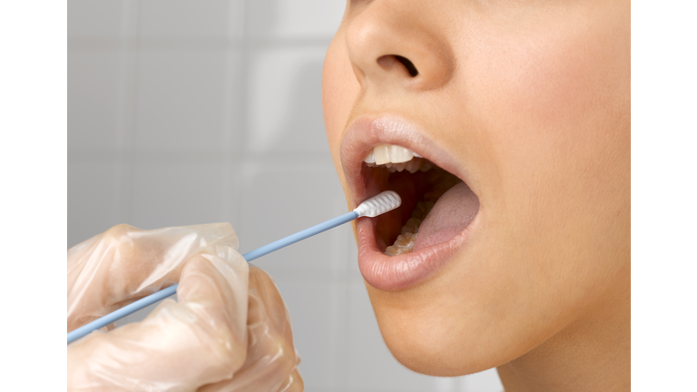 Person holding DNA swab in young woman's mouth, close up of mouth, studio shot