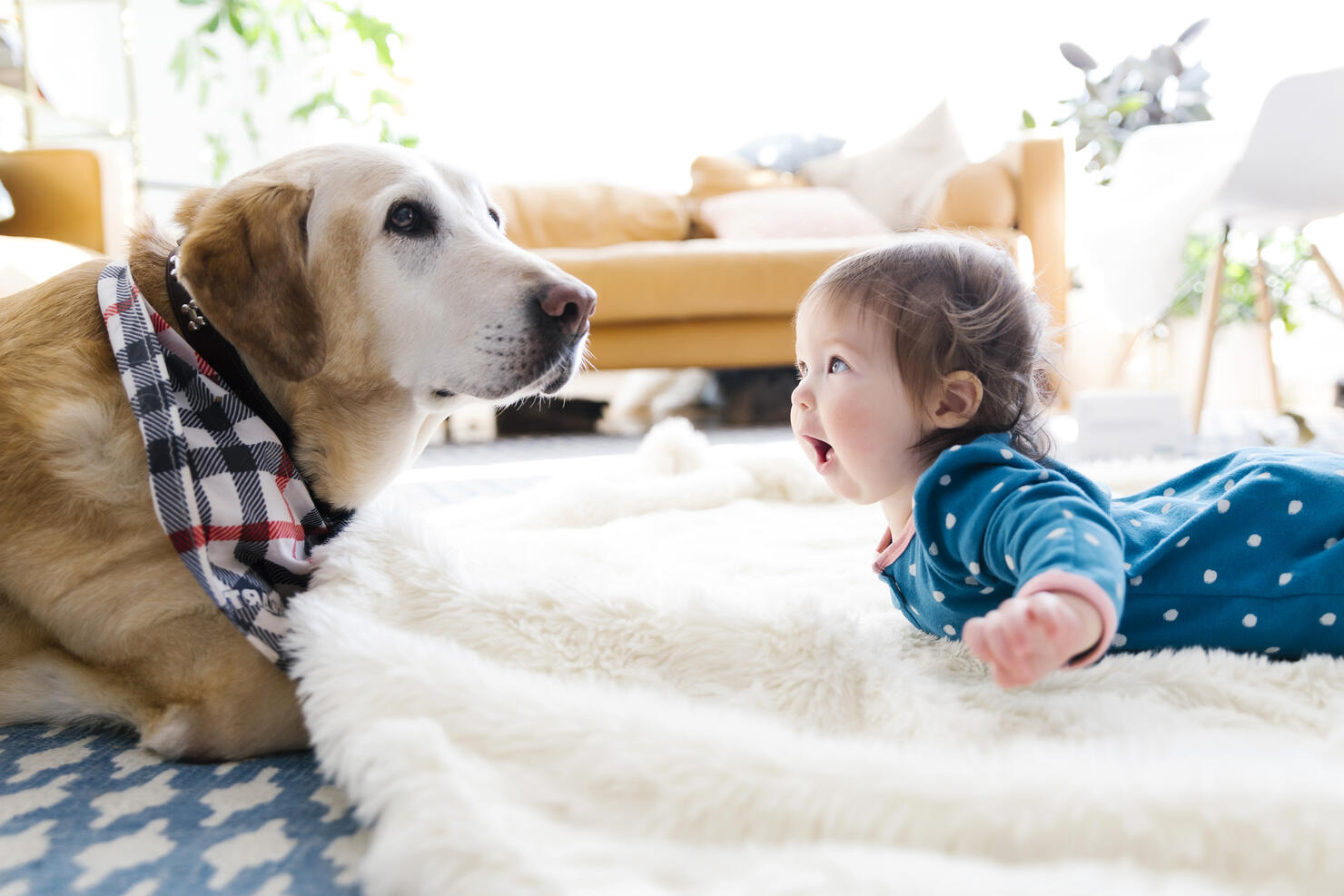 Baby girl and dog lying on rug