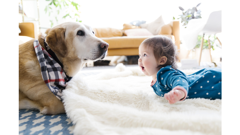 Baby girl and dog lying on rug