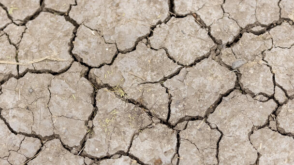 State Drought Watch Expands
