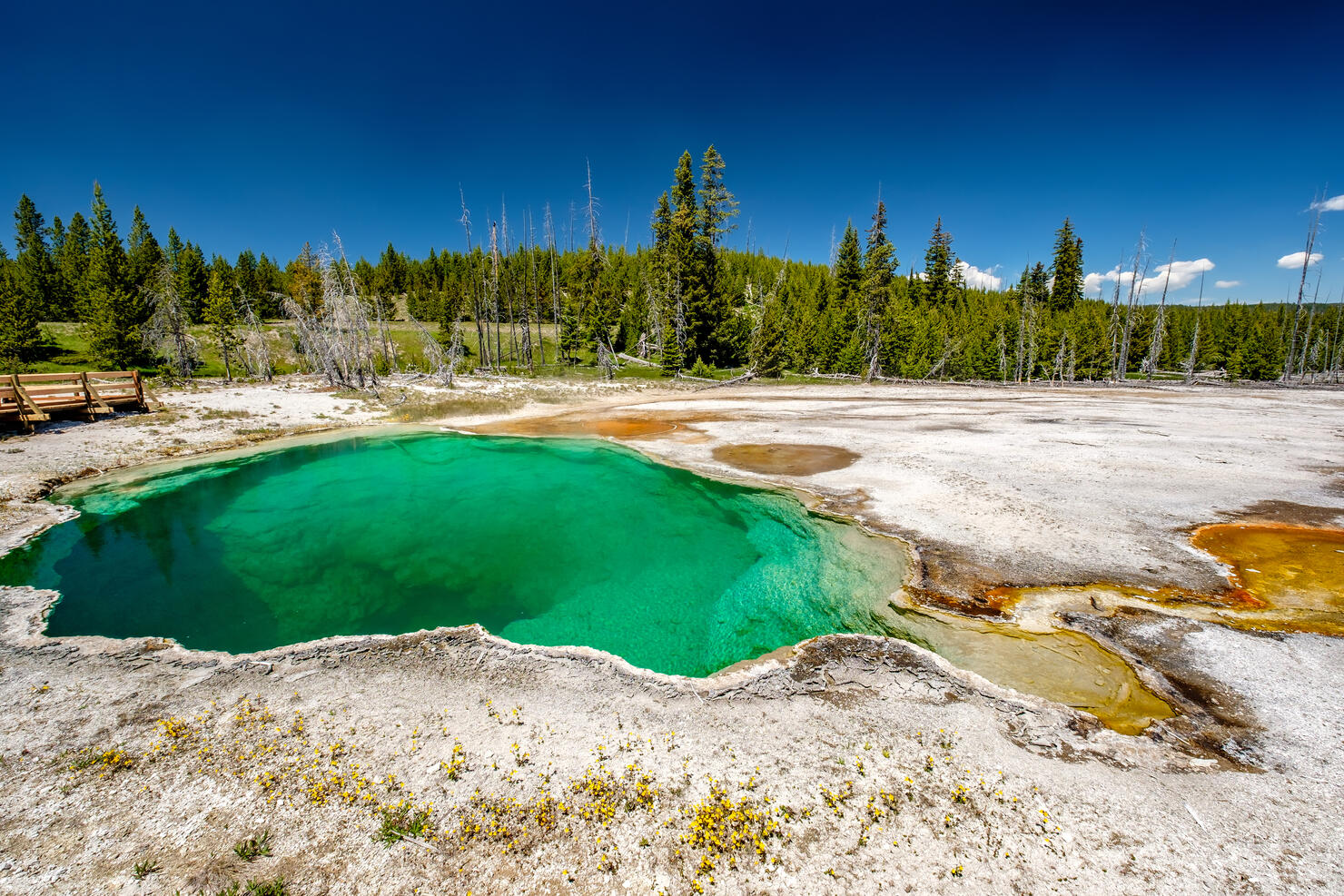 Hot thermal spring in Yellowstone