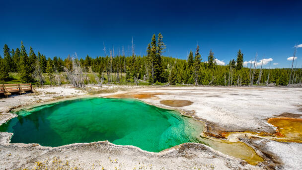 Human Foot Still Inside Shoe Found Floating In Yellowstone Hot Spring
