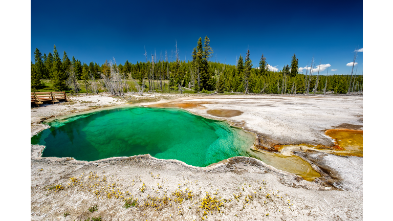 Hot thermal spring in Yellowstone