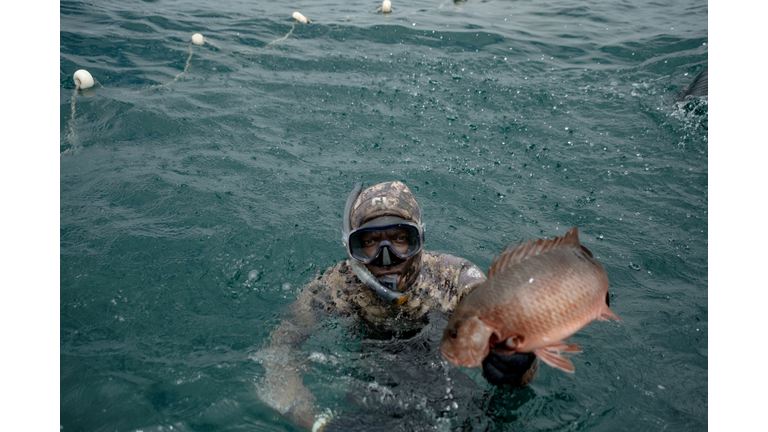 Recreational harvest of red grouper in Gulf state waters to close Aug. 30 