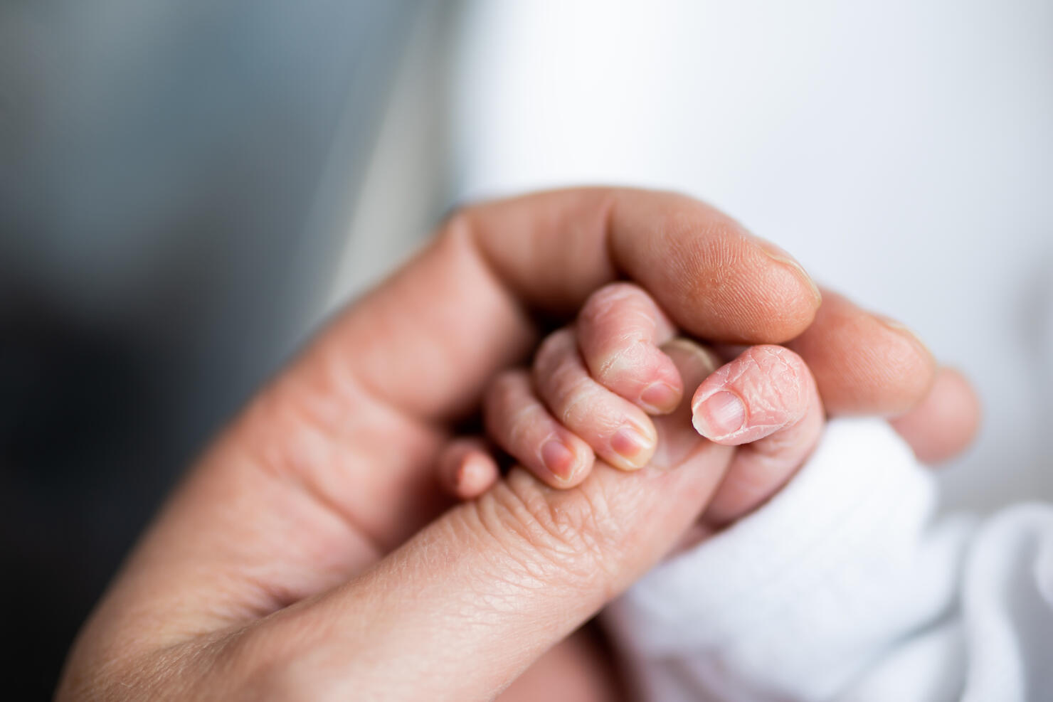 hand of newborn baby who has just been born holding the finger of his father's hand.