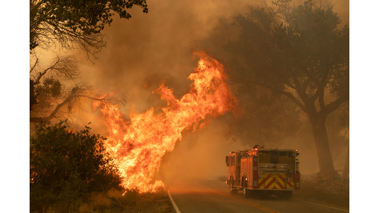 Fire Truck Extinguishing Forest Fire