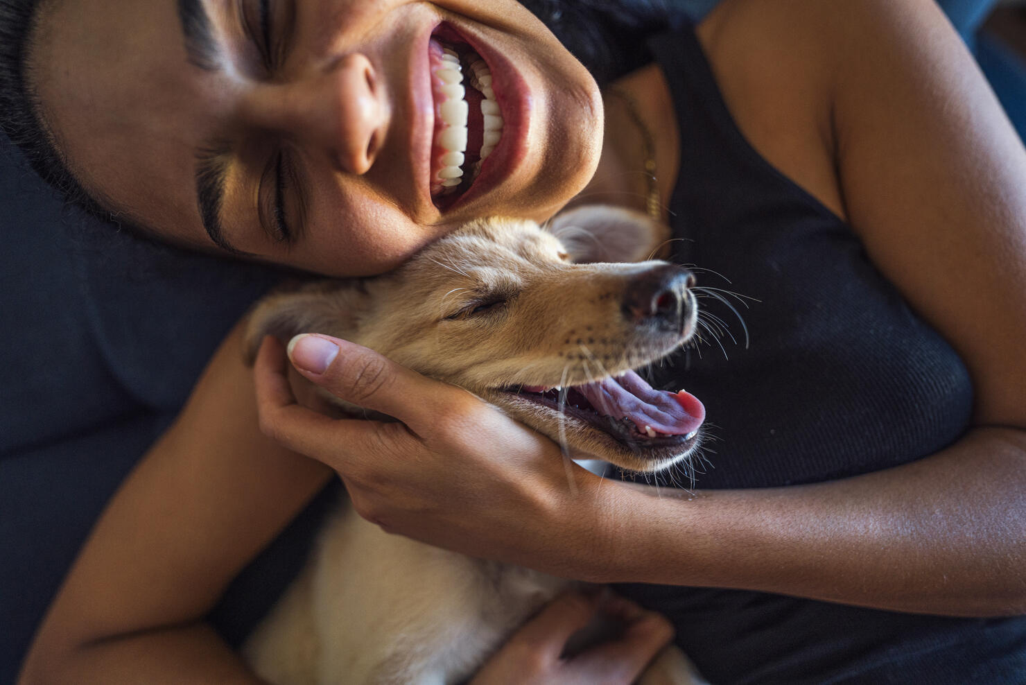 Beautiful young woman playing with a puppy