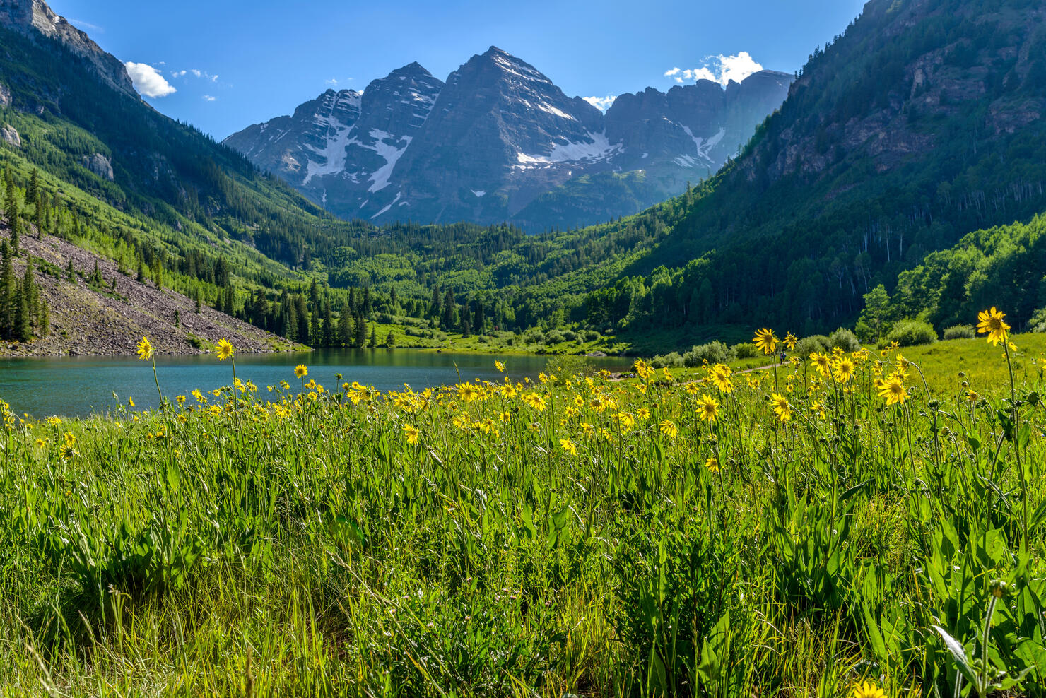 Flowering Mountain Valley