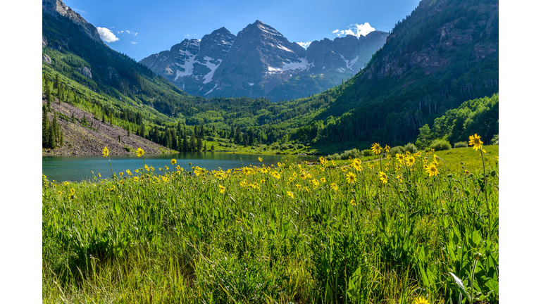 Flowering Mountain Valley
