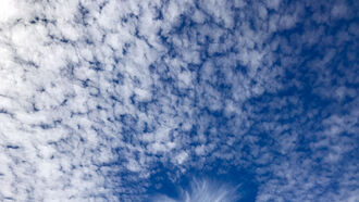 Invisible Creatures & Rainmaking