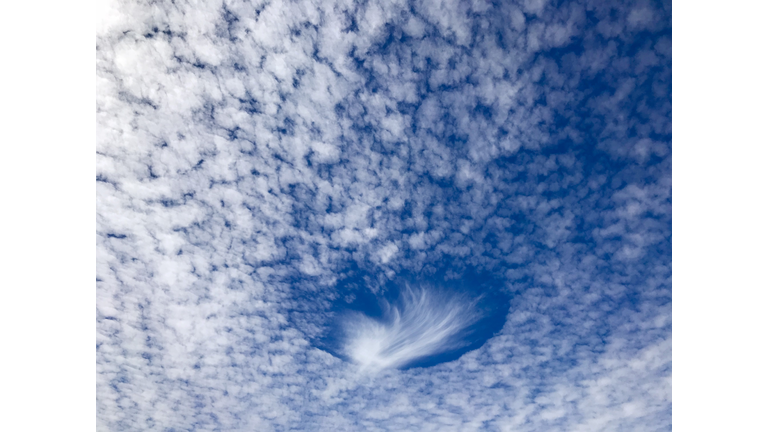 Invisible Creatures & Rainmaking