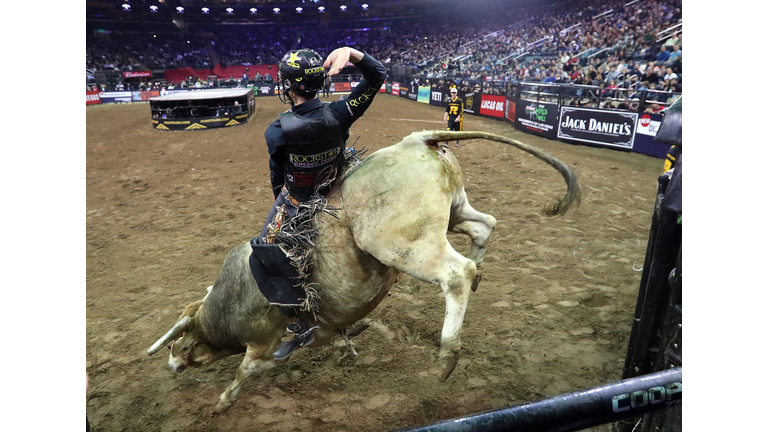 PBR Unleash The Beast
