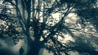 Energy Work / High Strangeness in Kentucky