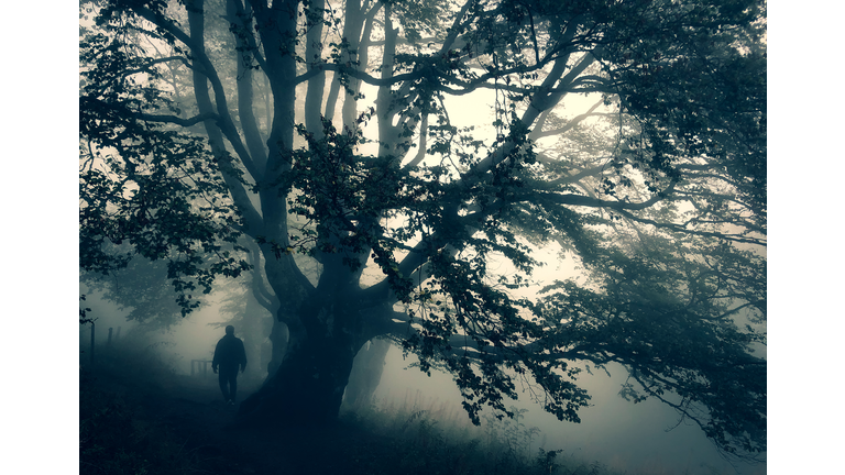 Energy Work / High Strangeness in Kentucky