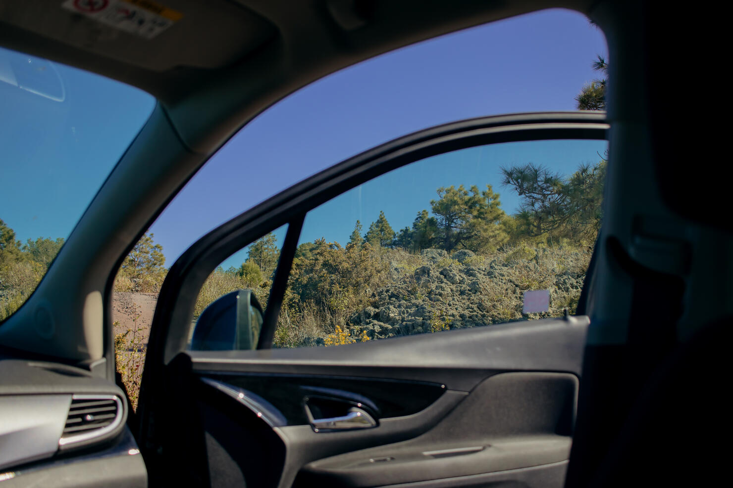 Sky And Trees Seen Through Car