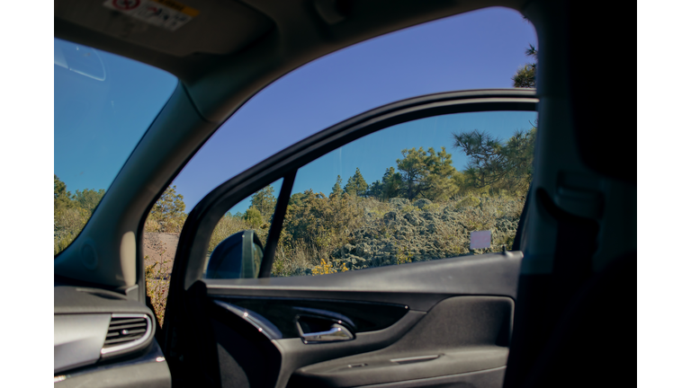 Sky And Trees Seen Through Car