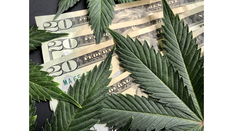 Cannabis leaves with American twenty dollar bills