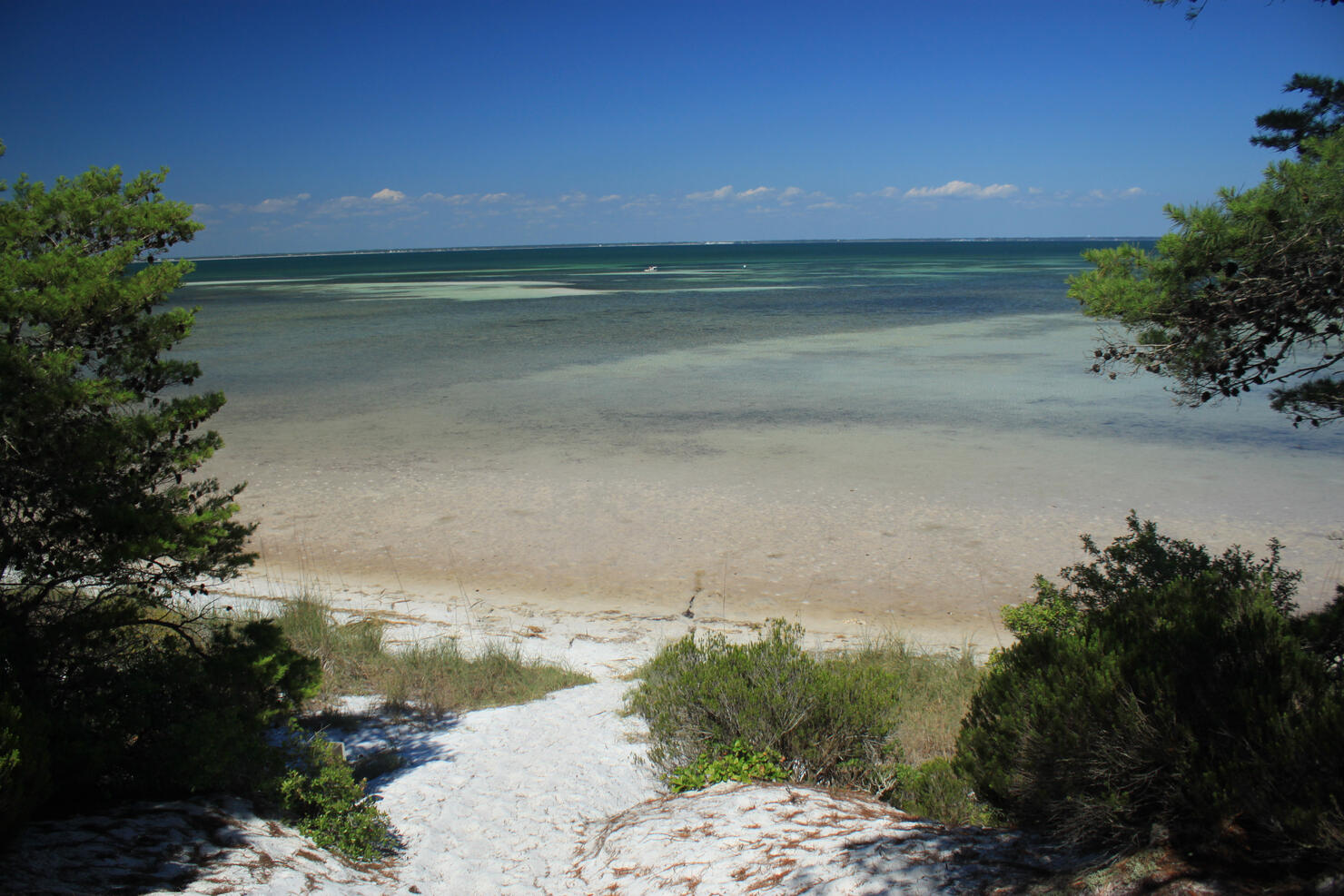 Shallow Bay