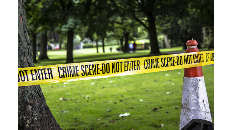Crime Scene Tape 031