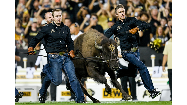 TCU v Colorado