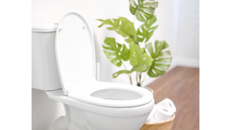 Modern toilet, great design for any purposes. Ceramic toilet bowl with toilet paper near light wall