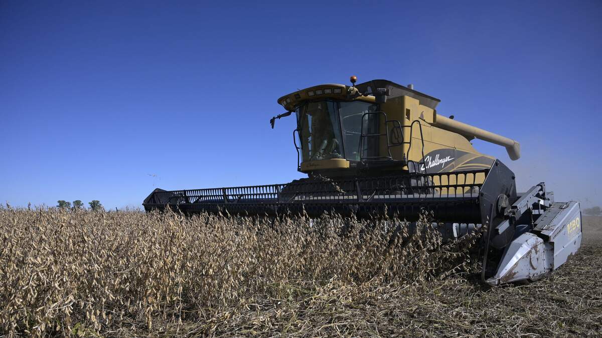 September WASDE report features surprise cut to expected soybean yield