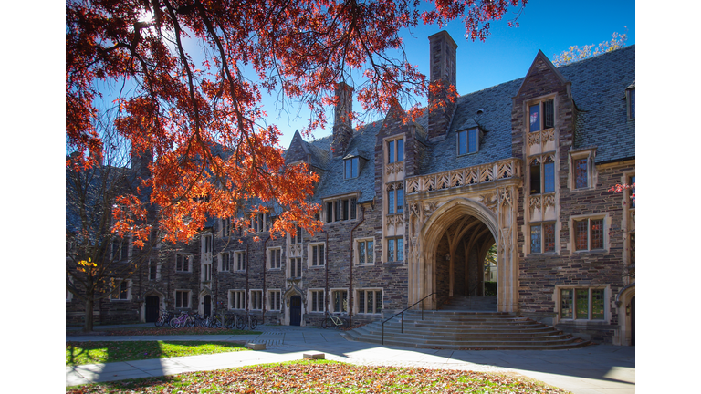 Princeton University