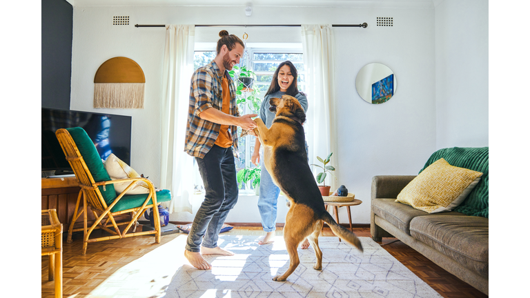 Shot of a young couple playing with their pet dog