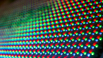 Reincarnation / Media Exposé