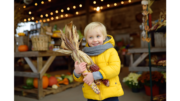 Glad boy holding colorful ears of indian corn at the seasonal agricultural fair