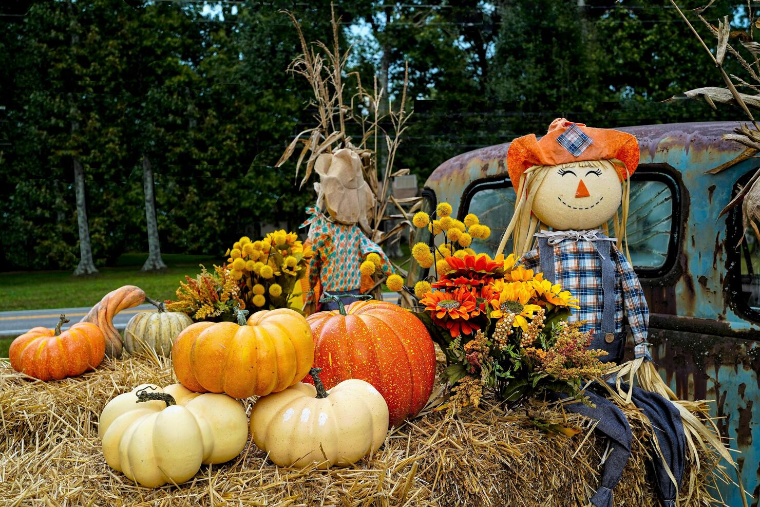 This Is The Best Fall Festival In Florida | iHeart