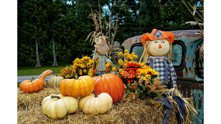 Scarecrow Hayride, Rustic Antique Truck, Autumn Decoration, Close up