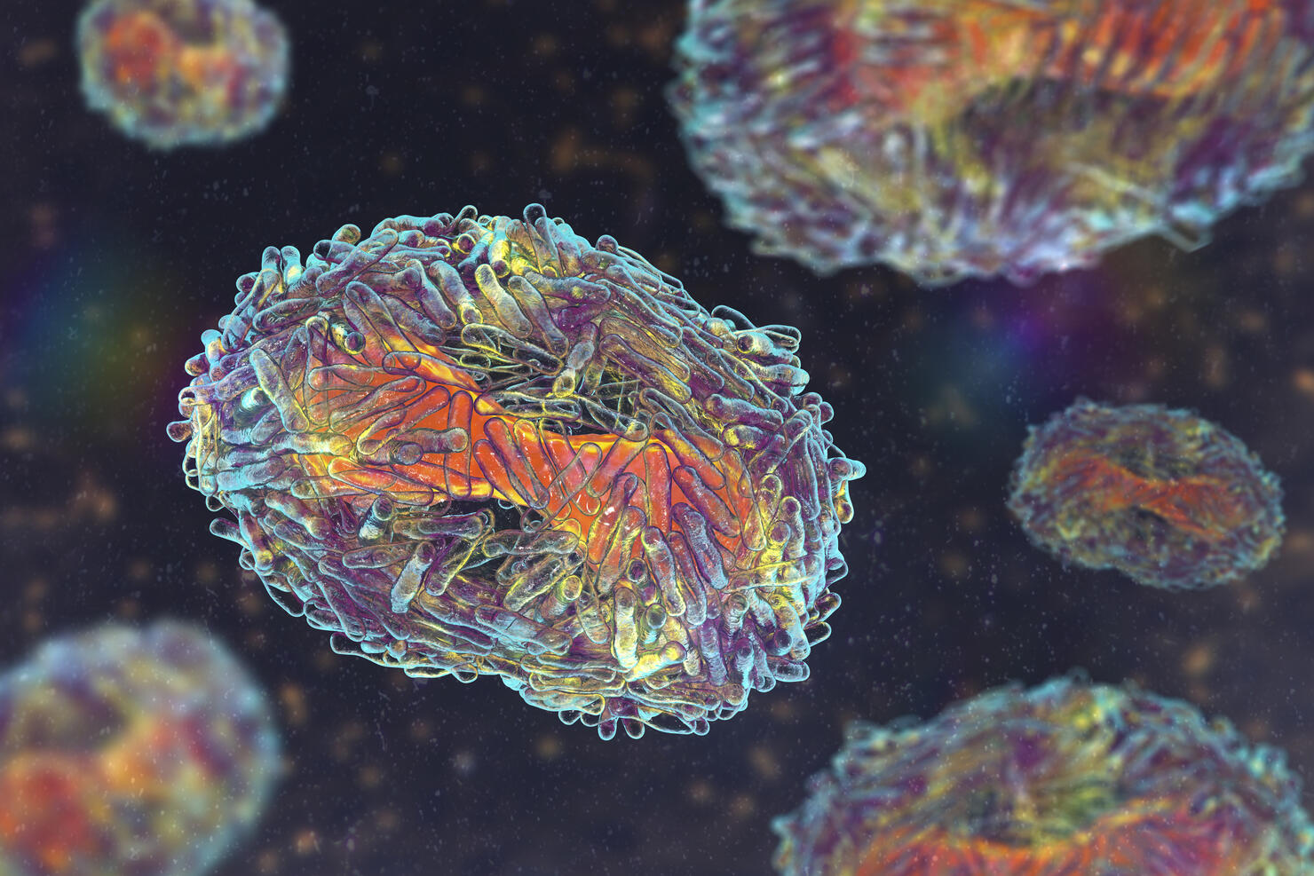 Monkeypox virus particles, illustration