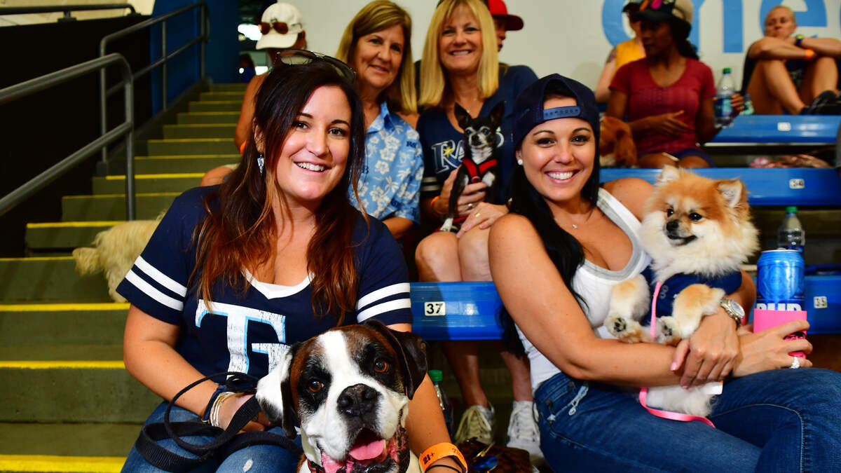 Dog Day at Tropicana Field, 04/17/2016