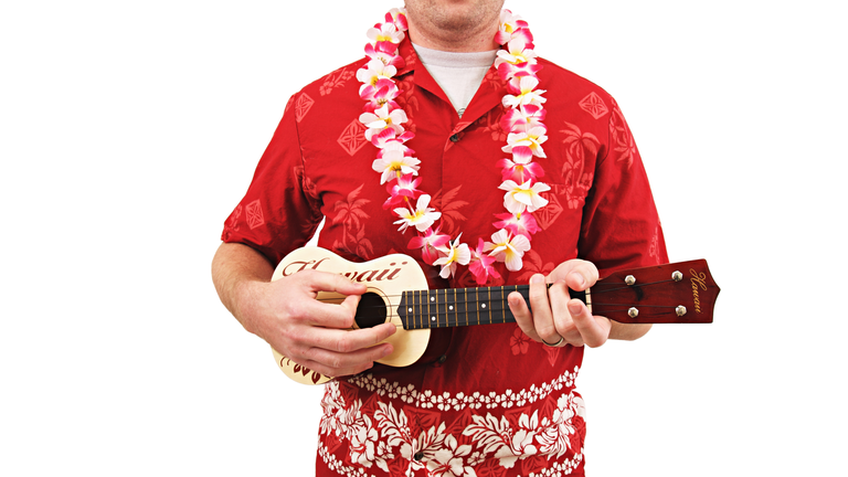 Hawaiian Shirt Lei and Ukulele