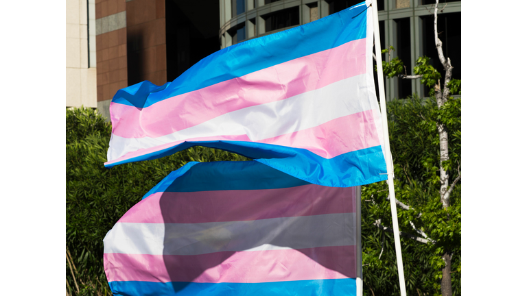 US-TRANSGENDER-DAY-OF-VISIBILITY-GENDER