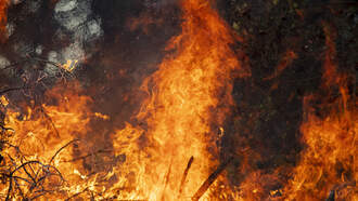 This Is California's 'Creepiest' Legend