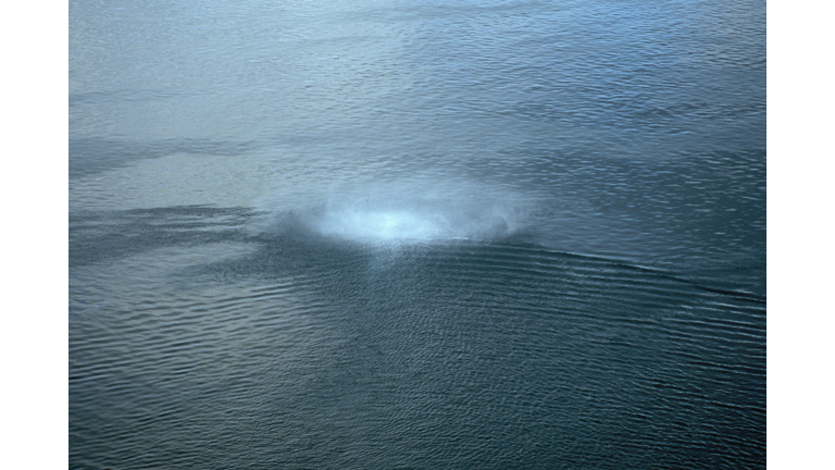 Aerial of Vortex of a Waterspout
