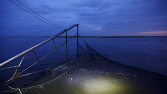 Body, ID Of Missing Georgia Man Washes Up On Remote South Carolina Island