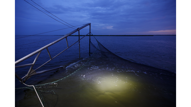 Combination Of Rising Sea Levels And Subsiding Land Endanger Louisiana Coast